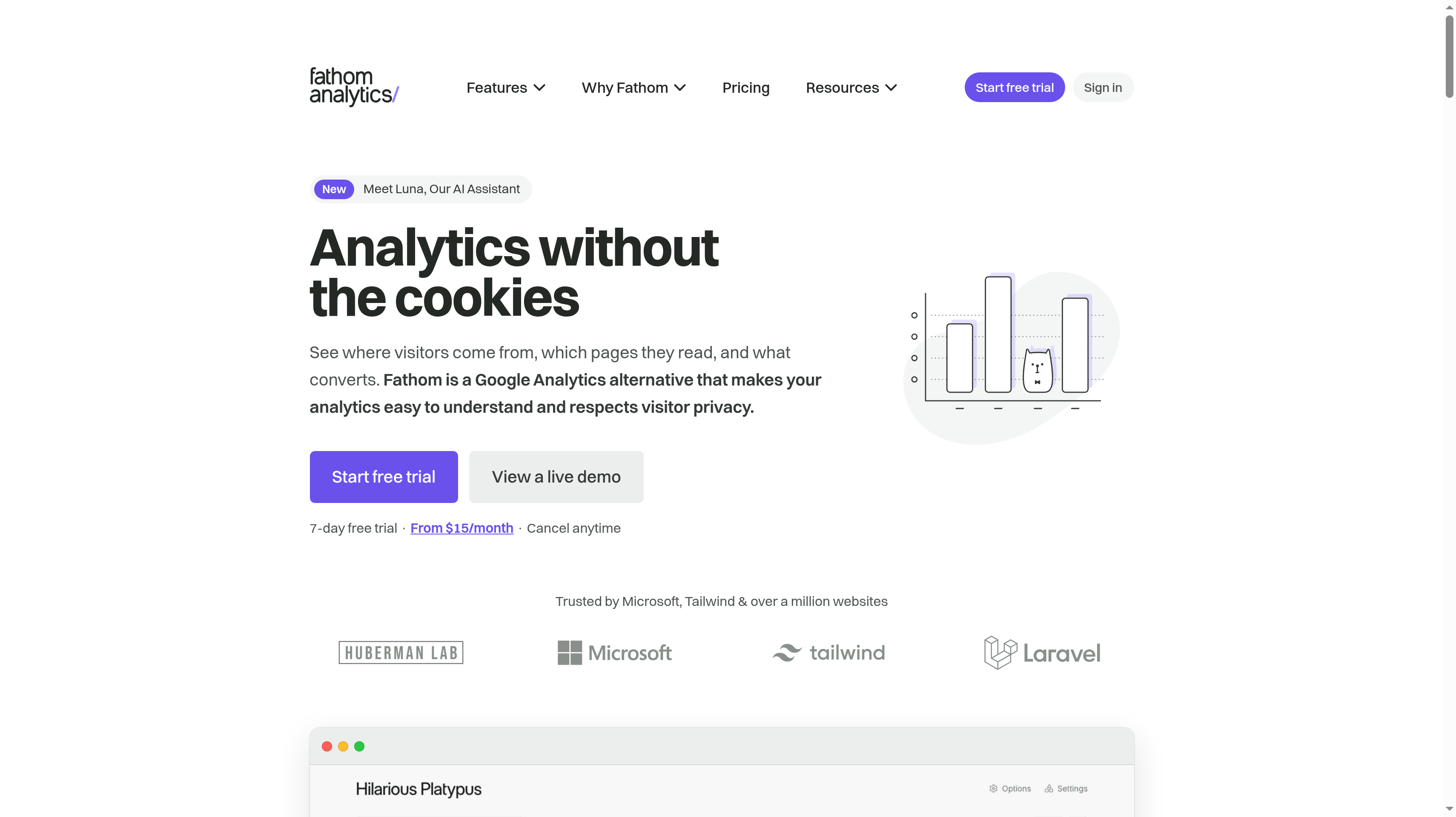 Fathom Analytics homepage showing its analytics without the cookies hero
